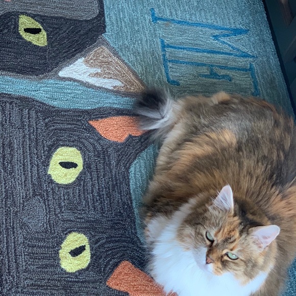 I’m Robin, your Posh Ambassador! - Picture 2 of 7